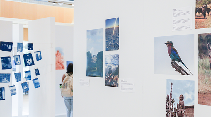 Art gallery wall in the Judy Genshaft Honors College Zimmerman Family Foundation Atrium