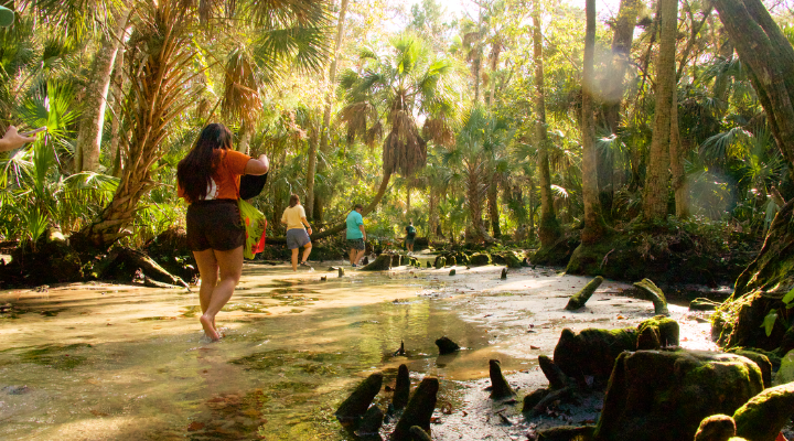 Students walk in a tropical area with a river path