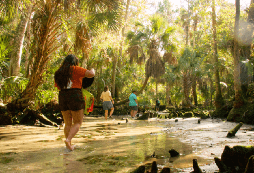 students explore Florida forest