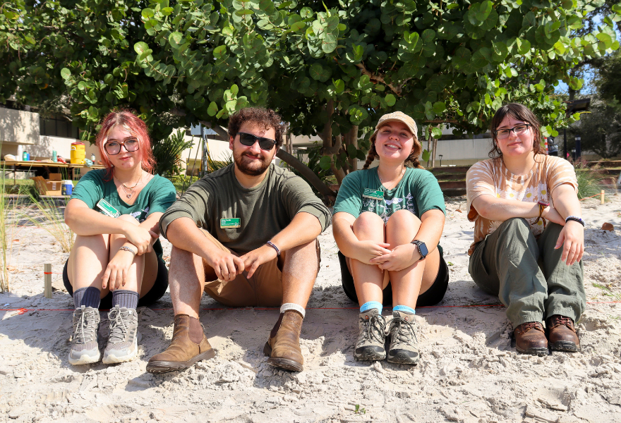 Laczko and other students volunteer with the Student Green Energy council to install native plants at the USF St. Petersburg campus waterfront.
