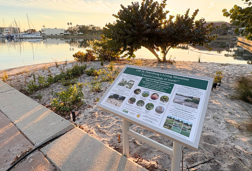 Educational signage about bayboro harbor