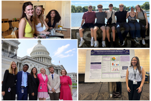 Four-pannel graphic displaying USF Wilcox Scholars in their summer experiential learning activities. 