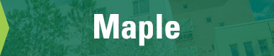 Maple