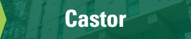 Castor