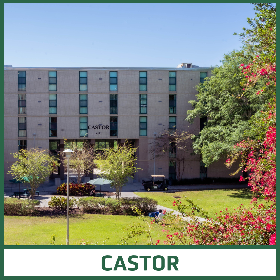 Castor