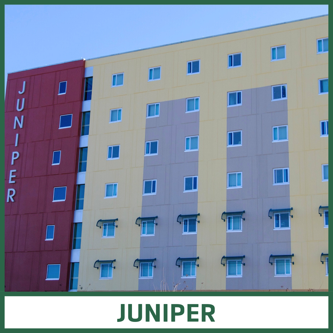 Juniper