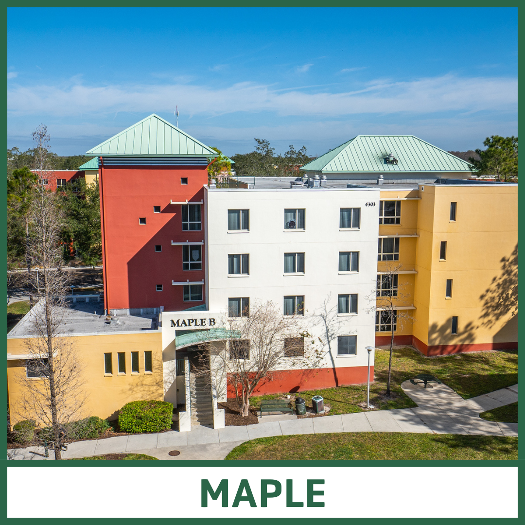 Maple