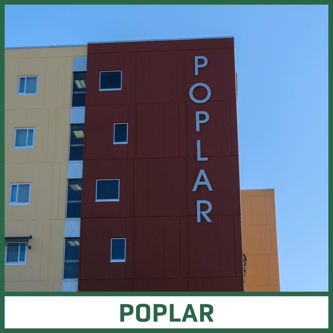 Poplar