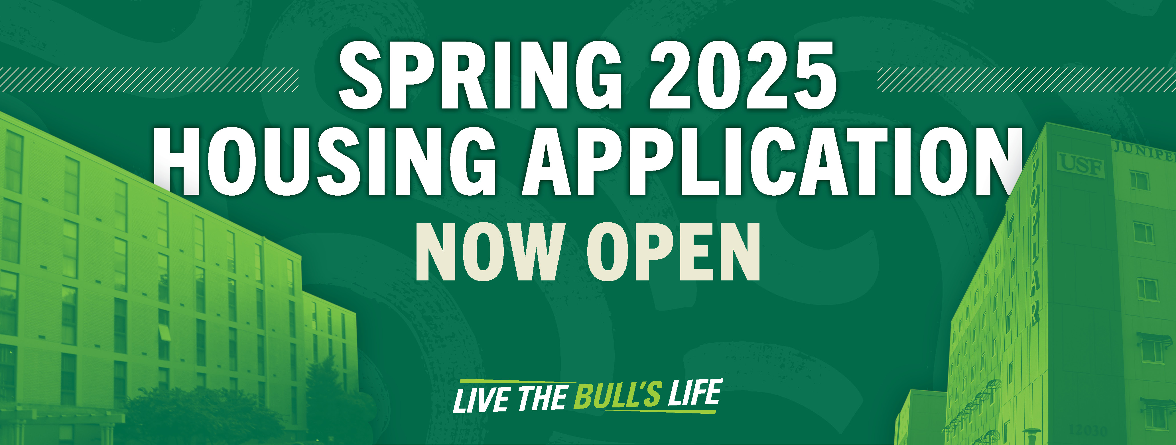 Spring Application Process
