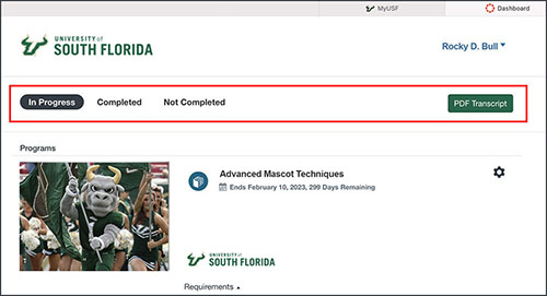 USF Employee Learning dashboard