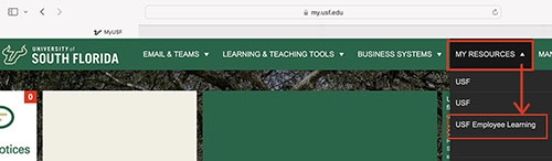 USF Employee Learning portal menu
