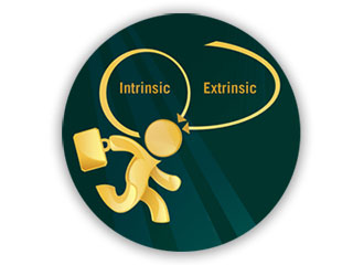 intrinsic and extrinsic icon