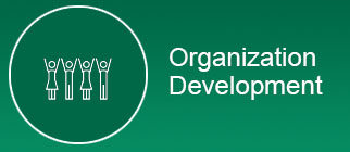 Organization Development