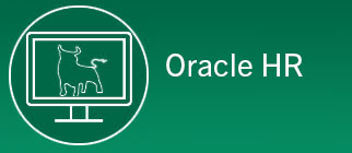 Oracle HR with bull on screen