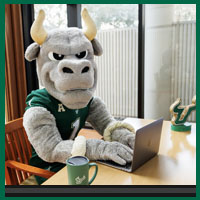 Rocky typing on laptop with USF mug