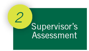 2 Supervisor's Assessment