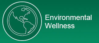 Environmental wellness button with globe