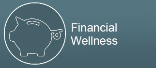 Financial Wellness button with piggy bank