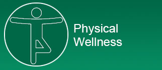 Physical Wellness with person icon