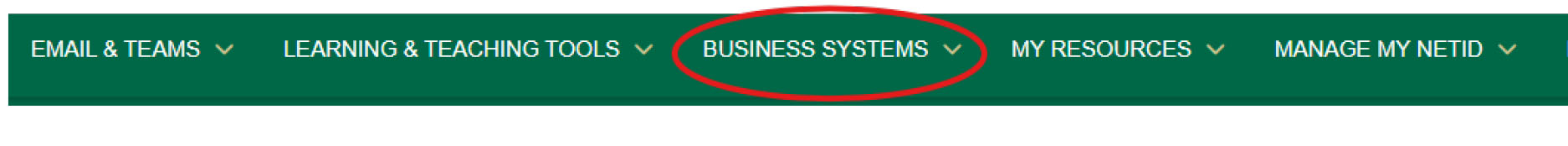 MyUSF menu with Business Systems circled