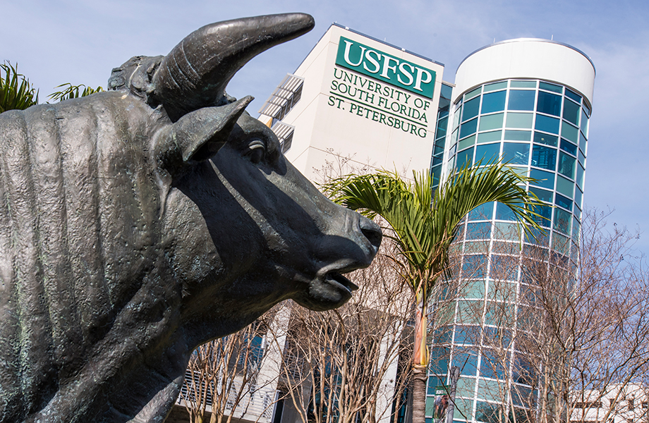 USF St. Petersburg Bull Statue