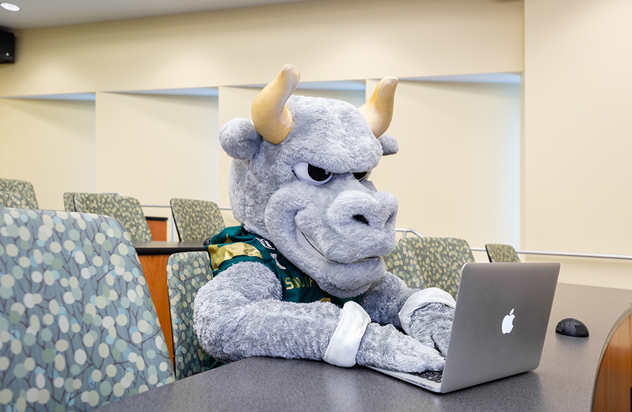 Rocky D. Bull typing on a computer. 