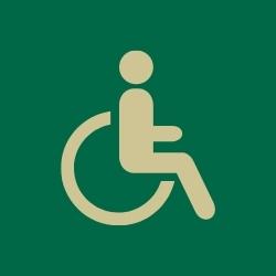 disability