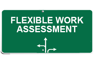 flex assess