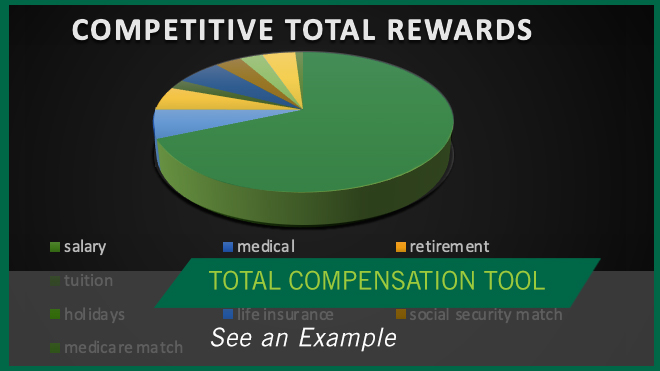 Total Compensation Tool