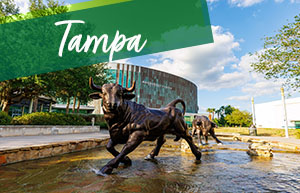 Bull fountain and word Tampa
