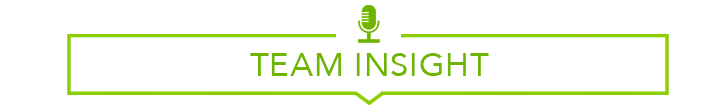 team insight