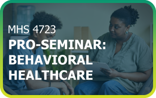 pro-seminar-behavioral healthcare