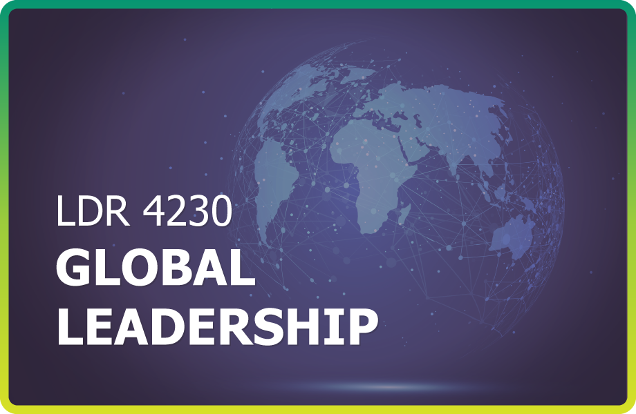 ldr4230 Global LEadership course header imge