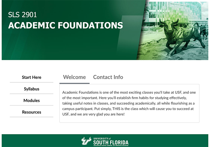 sls 2901 Academic foundations course banner
