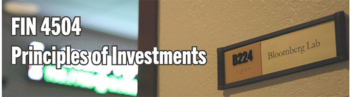 principles of investments banner