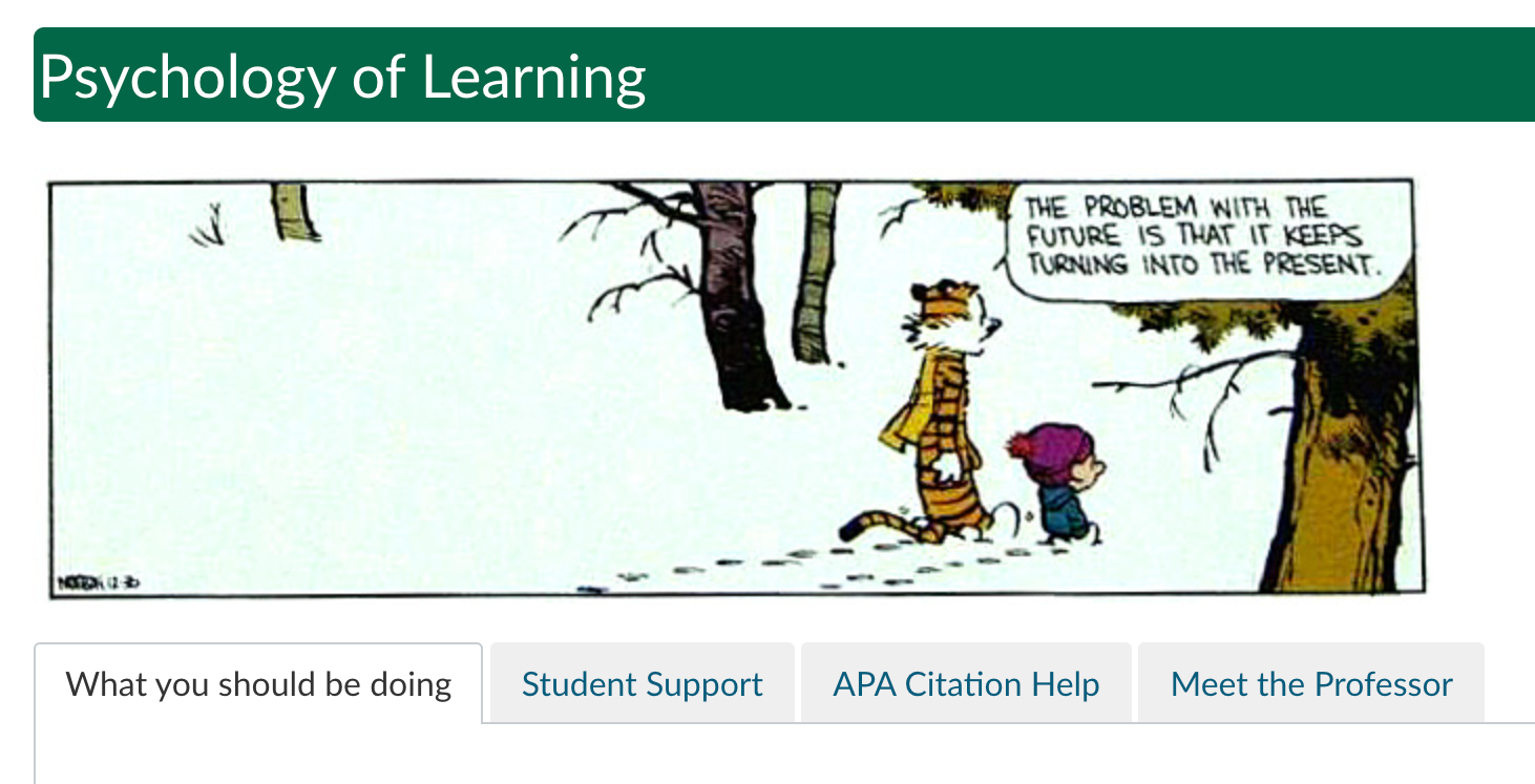 Psychology of learning banner image
