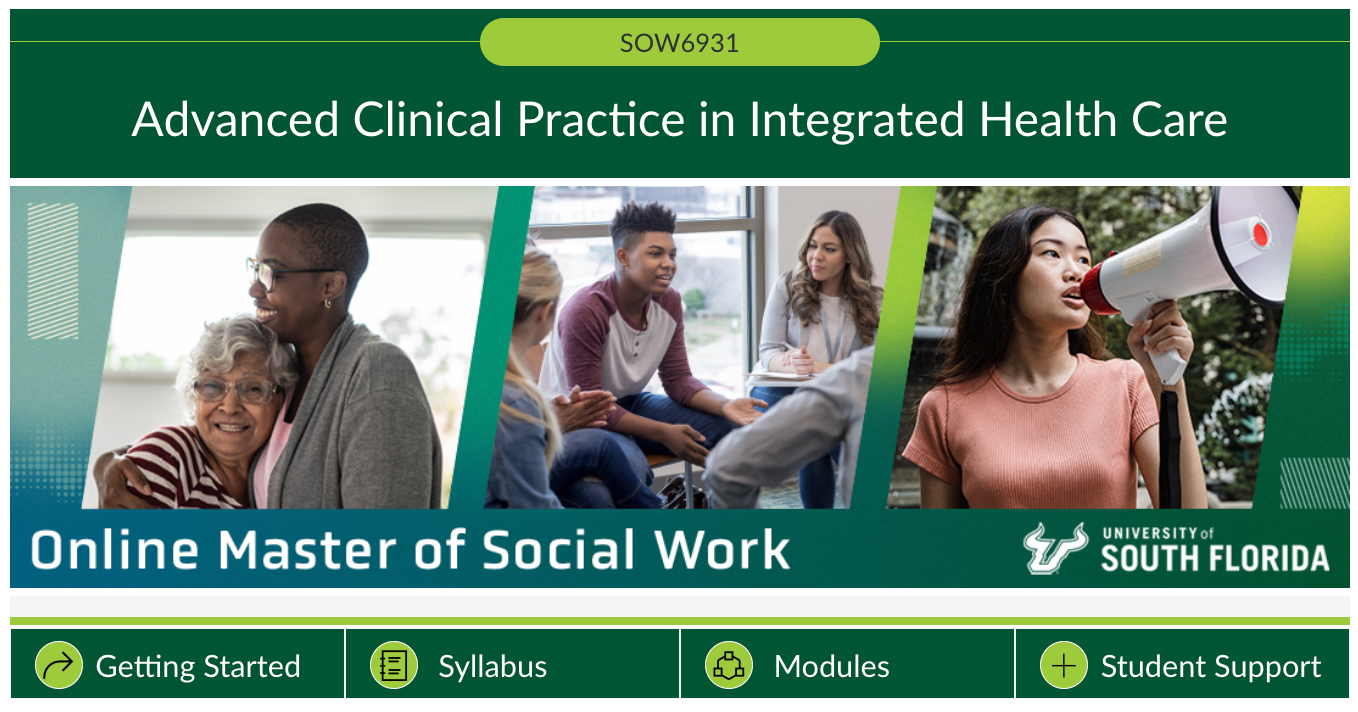 Clinical Practice in Integrated Health Care banner