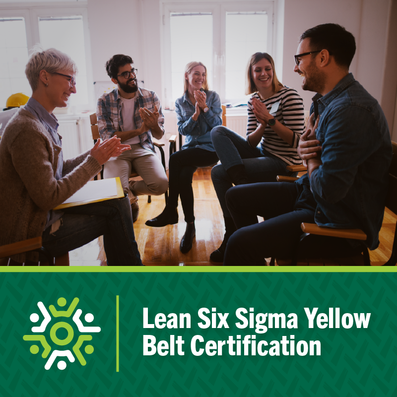 usf lean six sigma yellow belt certitifcation