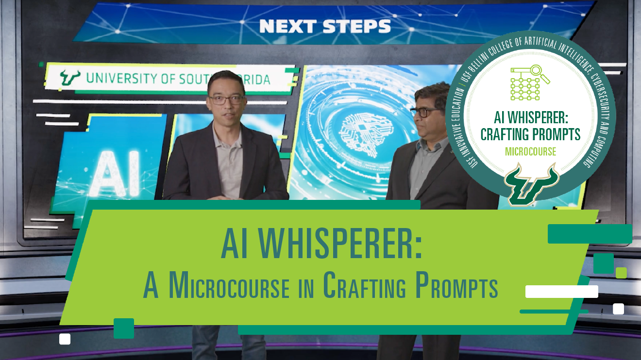 USF Microcourse in Crafting Prompts