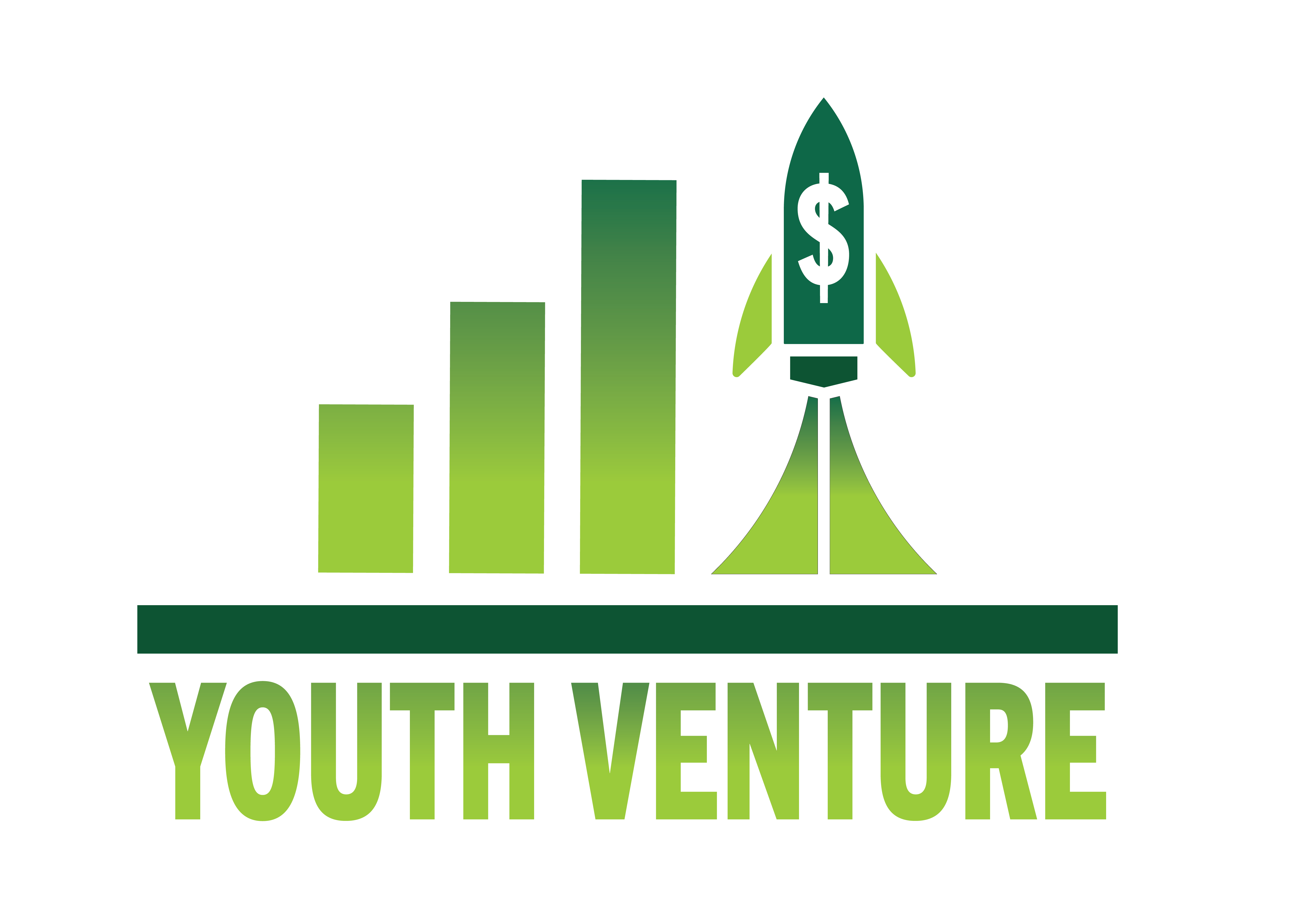 USF Youth Venture Summer Camp Logo