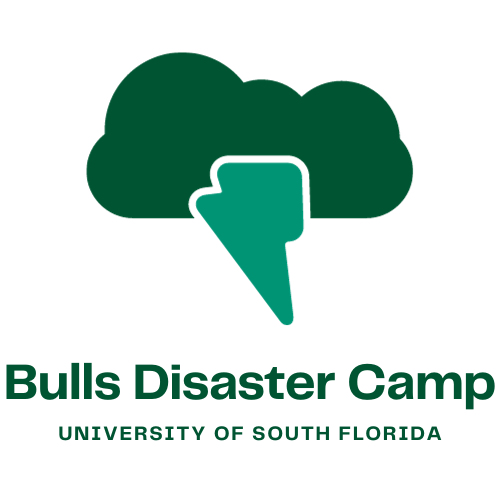 Bulls Disaster Camp logo