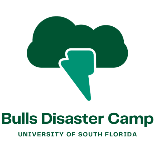 bulls disaster camp logo