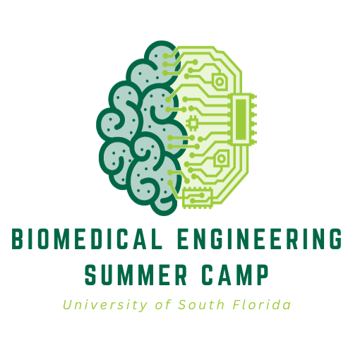 biomedical engineering camp logo
