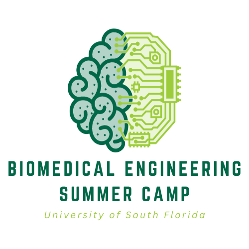 USF Biomedical Engineering (Grades 912)