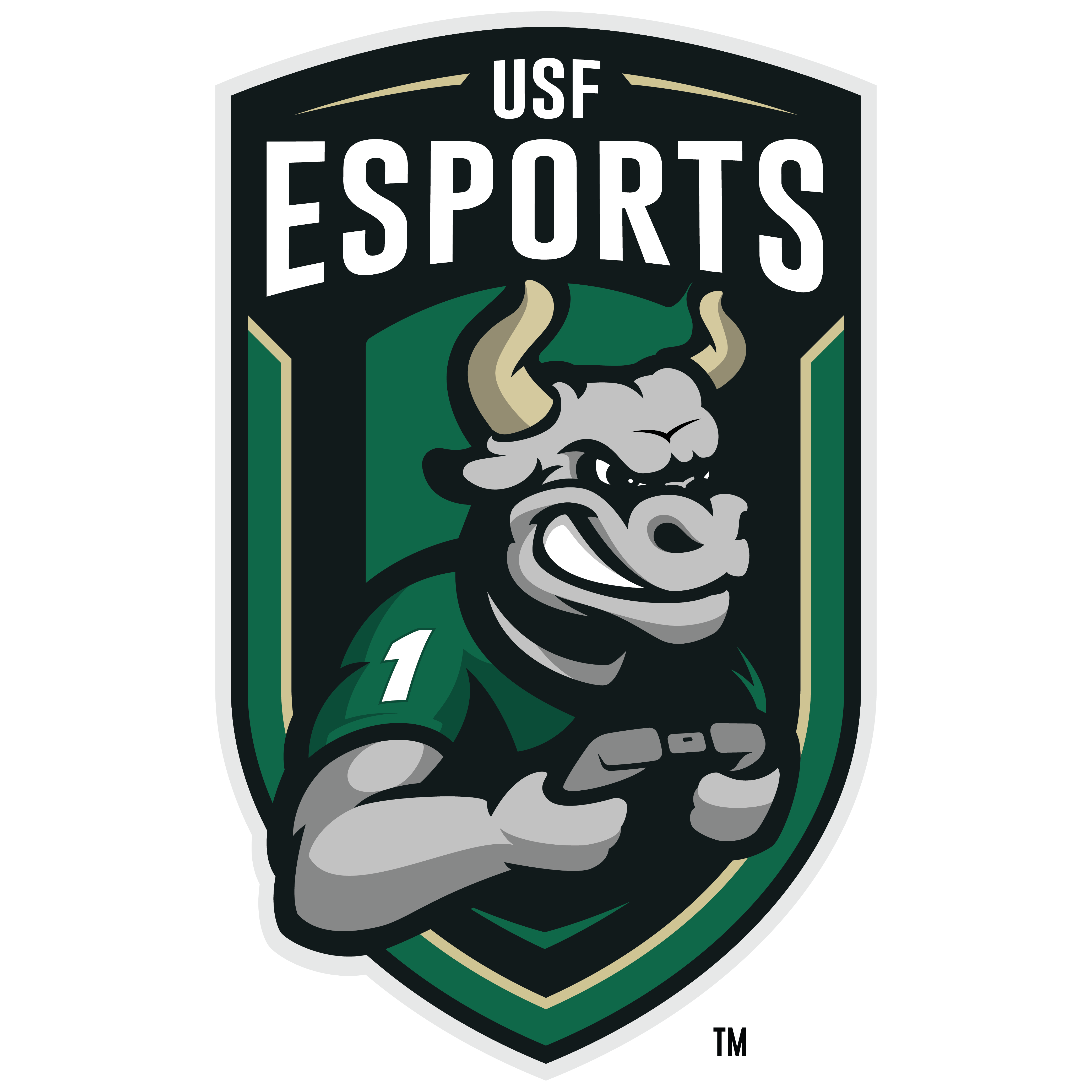 USF ESPORTS Camp Logo