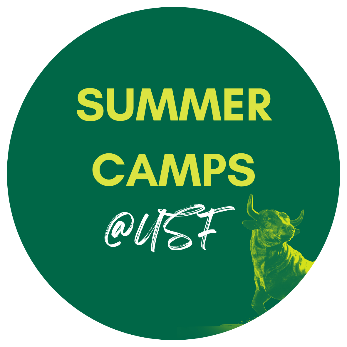 Summer Camps at USF