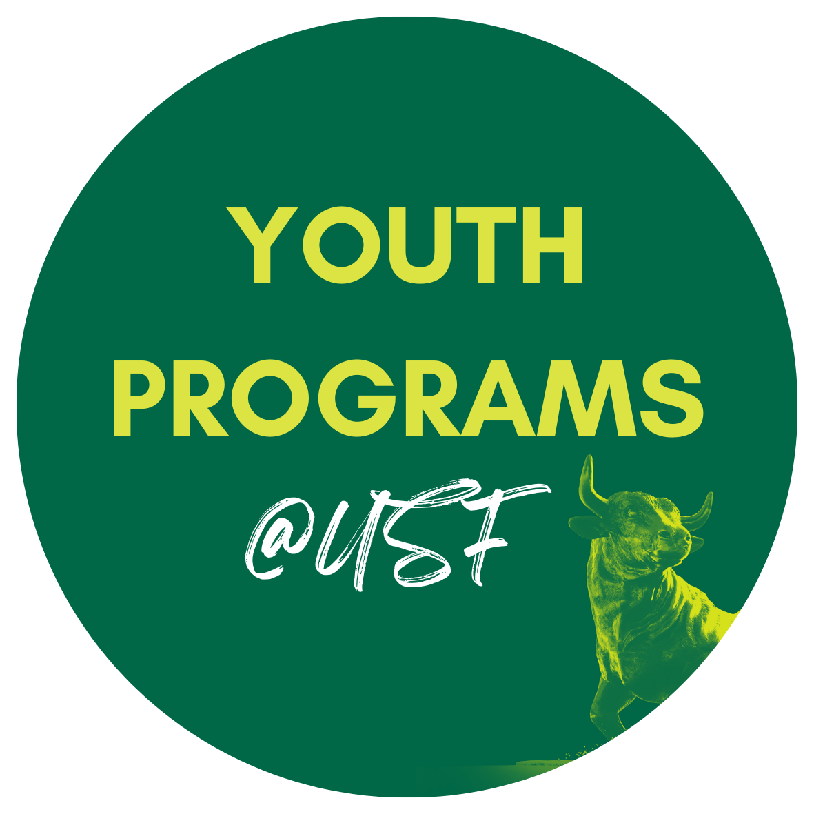 Youth Programs at USF