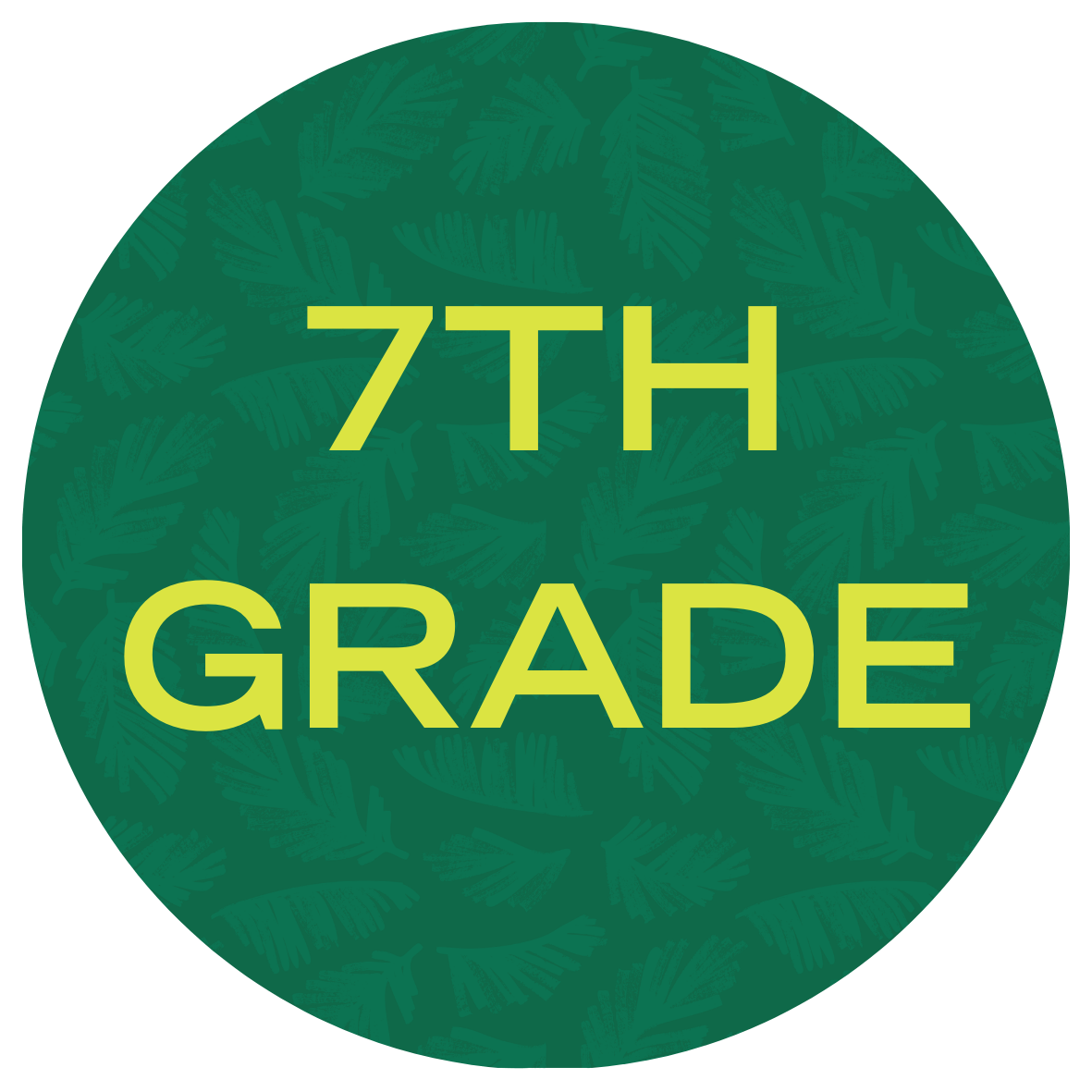 USF Summer Bridge Math Program 7th Grade with text stating "7th Grade"