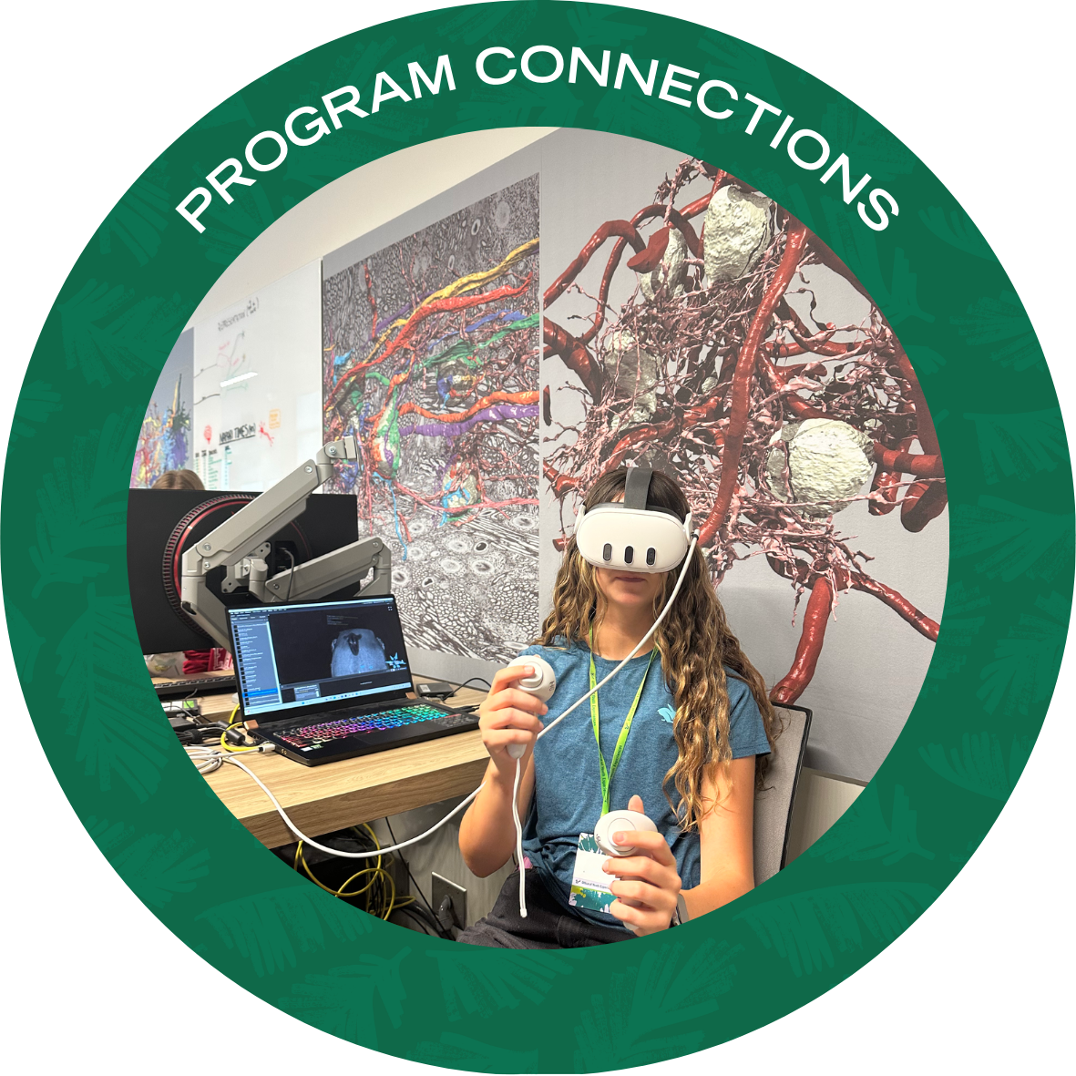 Program Connections with text stating "Program Connections Youth Experiences" 