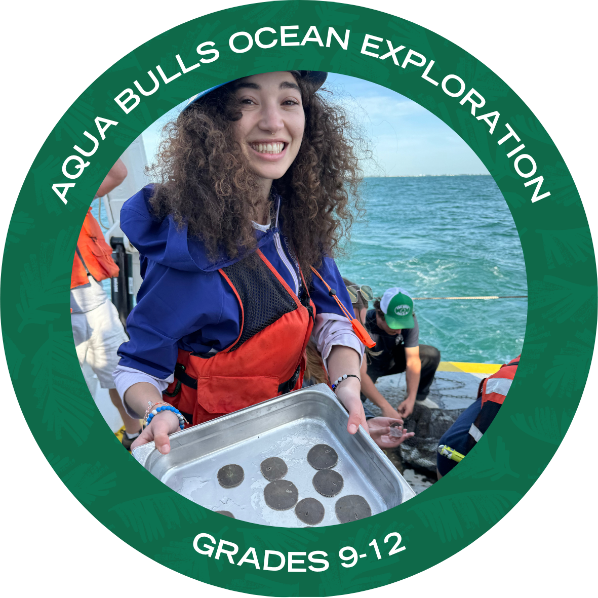 Aqua Bulls Ocean Exploration Program with text stating "Aqua Bulls Exploration Program Grades 9-12"